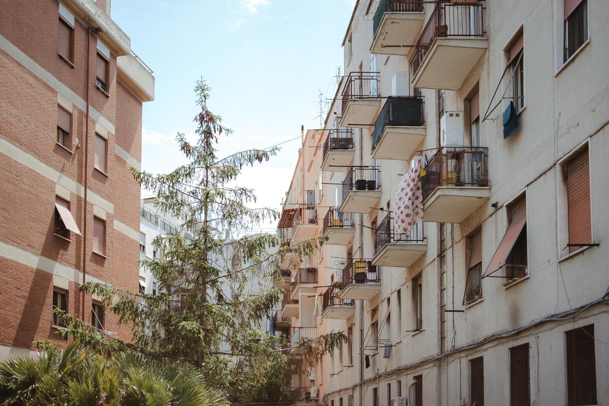 La Casetta Al Mercato Civitavecchia Zimmer foto